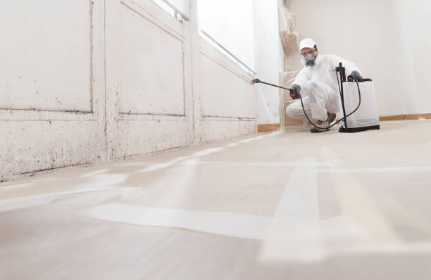 24/7 Emergency Mold Remediation experts in Central City, KY