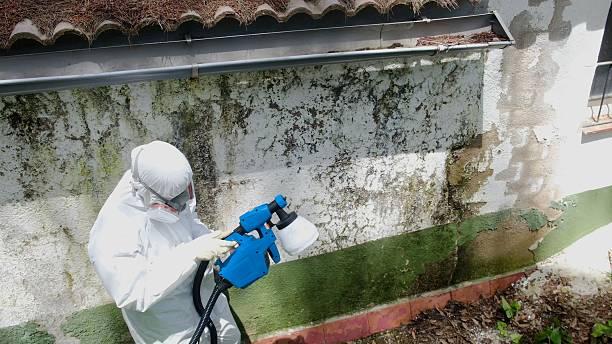Top rated local Mold Remediation specialists in Central City, KY